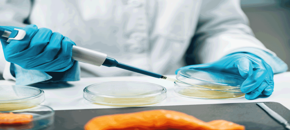Contrôle et Analyse d'Hygiène